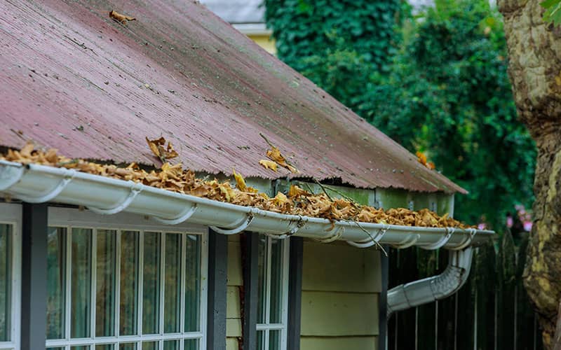 Limpieza de canalones en Torrejón de Ardoz